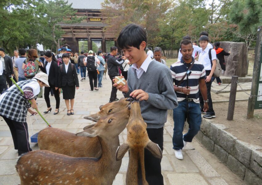 奈良公園にて